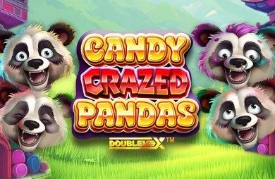 Candy Crazed Pandas DoubleMax